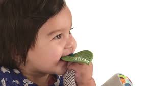 Skip Hop Bandana Buddies Baby Activity and Teething Toy with Multi-Sensory  Rattle and Textures, Fox : Baby