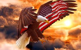 Check spelling or type a new query. American Eagle Wallpapers American Flag Bald Eagle 1280x800 Wallpaper Teahub Io