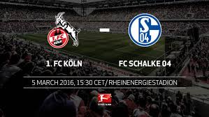 In order to choose the most reliable option for this confrontation, we should carefully process all the team statistics that. Bundesliga Bundesliga Matchday 25 1 Fc Koln Fc Schalke 04 Preview