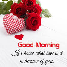 Romantic good morning rose flowers for her. Updated Good Morning Messages And Flower Rose Pictures Gif Pc Android App Mod Download 2021