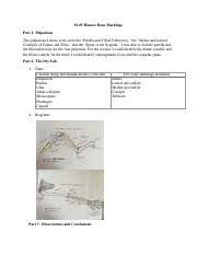 Honors Skeleton Part 1 Palpations The Palpations I Chose