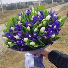 Какие цветы на 8 марта принято дарить дома или в рабочем коллективе? Neobychnye Cvety Na 8 Marta Joshkar Ola Mart 2019 Novosti Joshkar Oly I Marij El