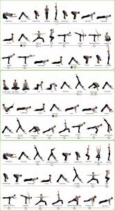 The Different Types Of Yoga And Their Classifications Explained Astro Maverick Hatha Yoga Poses Yoga Postures Hatha Yoga