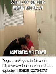 We have 12 images about asperger meme including images, pictures, photos, wallpapers, and more. 25 Best Memes About Asperger Asperger Memes