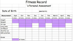 P E Fitness Chart Lab School P E Website Yes