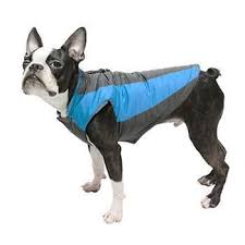 Padded Vest Dog Jacket By Gooby Blue Dog Raincoat Ideas