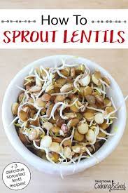 How To Sprout Lentils 3 Delicious Sprouted Lentil Recipes