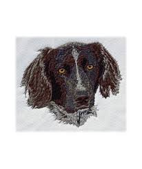 Image result for Malý münsterlandský ohař