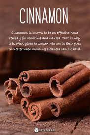 14 Effective Home Remedies To Stop Vomiting Home Remedies Remedies Feeling Nauseous