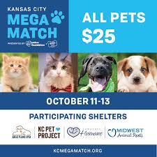 The application gives us information to better assist you in finding a good match and helps us answer any. Kc Mega Match Adoption Event This Weekend Kc Pet Project
