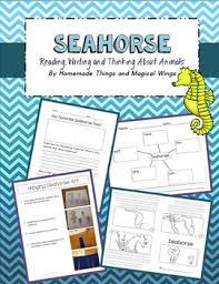 Seahorse Reading Writing And Thinking About Animals