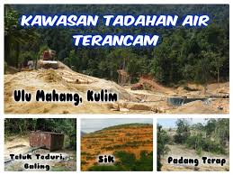 Tumbuhan dalam hutan hujan merupakan kawasan tadahan air yang sangat penting. Perjuangan Adalah Perlaksanaan Kata Kata Kemusnahan Hutan Kedah Menjejaskan Sumber Air