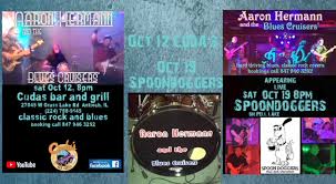 Profile for Aaron Hermann and the Blues Cruisers