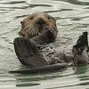 Story image for eating news articles from The Mainichi