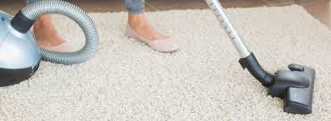 Top 8 Flea Home Remedies Ehrlich Pest Control