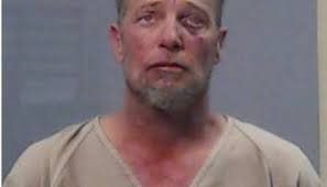 Woman accused of attacking aunt