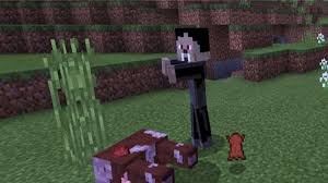 La sangre humana/aldeana te recupera 5 barras de hambre y funciona . Vampire Mod For Minecraft For Android Apk Download