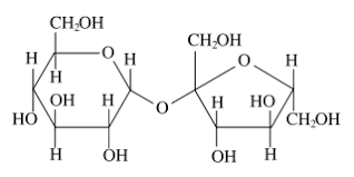 Carbohydrate Wikidoc