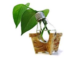 Design Website Vase Ampoule Bulbes Bouteille De Vin