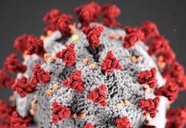 In addition to education, the unit provides marketing communications, graphic design and public. April 14 2020 Daily Covid 19 Case Counts For Dupage County And Beyond Positively Naperville