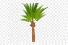 Images Of Cartoon Palm Trees Cartoon Palm Oil Tree Clipart 1353527 Pikpng ✓ free for commercial use ✓ high quality images. cartoon palm oil tree clipart