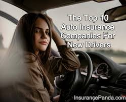 Younger drivers — teens and young adults up to age 26 — cost more to insure. Top 10 Auto Insurance Companies For New Drivers Insurance Panda