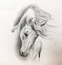 You Also Horse Art Drawing Horse Drawings Horse Head Drawing