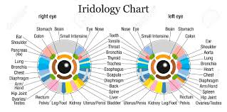 Sclerology Eye Chart Iriscope Iridology Camera