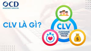 CLV là gì? Công thức tính giá trị vòng đời khách hàng - Công ty Tư vấn Quản  lý OCD
