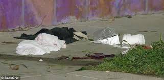 Ryan fischer's posts included pictures taken from. Lady Gaga S Dog Walker Is Shot Four Times In The Chest By Two Men Who Stole Two Of Her Dogs Broread Com