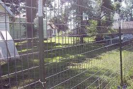 How To Build A Great Escape Proof Dog Fence Cuteness Dog Proof Fence Dog Fence Diy Dog Fence
