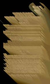 Image result for Elionurus platypus