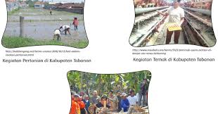 Kabupaten Tabanan Halaman 35 Belajar Kurikulum 2013