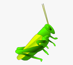 Funny cricket players lay down on the ground. Insect Cricket Cartoon Free Transparent Clipart Clipartkey