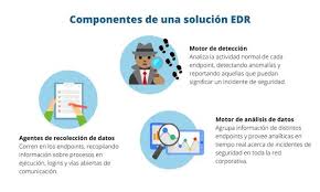 Componentes De Una Solucion Edr Infografia Seguridad Informatica Informatica Actividades