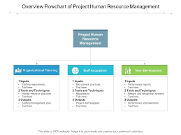 overview flowchart of project human resource management