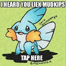 I Heard You Liek Mudkipz Pokemon Gaming Amino