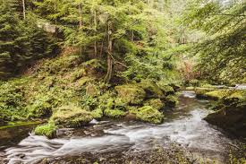Vill du veta hur de olika djur. Bohemian Switzerland En Dromlik Plats I Tjeckien