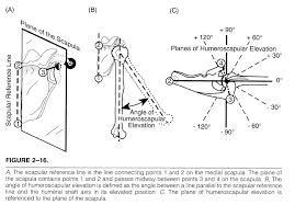 Jses Has Published Kinematic Analysis Of Dynamic Shoulder Motion In Patients With Reverse Total Shoulder Arthroplasty This Impor Analysis Shoulder Dynamic