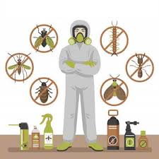 For more details call us 0847457451445. Termite Control Services Jukaso Pest Control