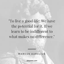 Daily Stoic Stoic Wisdom For Everyday Life Stoicism Quotes Stoic Wisdom