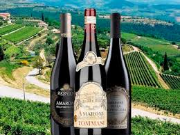 نتیجه جستجوی لغت [wines] در گوگل