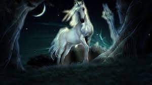 Unicorn Wallpaper Hd 2021 Live Wallpaper Hd Unicorn Wallpaper Horse Wallpaper Art Wallpaper