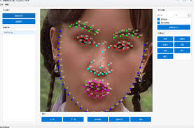 deepfacelab|faceswap|deepfake|肌肉金轮|AI换脸|deepfacelab中文 ...