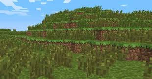 In this video i explain how to get grass in an area that didn't have grass before and how to make it spread over the dirt quickly.added note: Tall Grass Minecraft Wiki Guide Ign