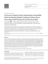 Https Academic Oup Com Cercor Article Pdf 29 1 410 28546858 Bhy267 Pdf