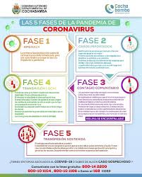 We hopen dat 2021 meer mogelijkheden gaat geven en dat. Las 5 Fases De La Pandemia De Coronavirus Sedede Cochabamba Facebook