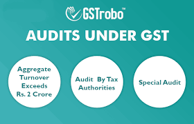Audit Under Gst Procedure Applicability Types And Definitions Gstrobo Blog Blogs