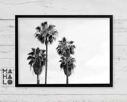 Black And White Palm Tree Wall Art Palm Tree Photograph Printable Wall Art Black And White Art L A Palm Trees Printable Wall Art Photo Tree White Art