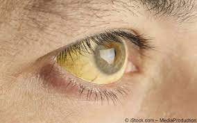 Hepatitis A Impfung Gelbe Liste